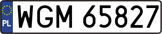 WGM65827