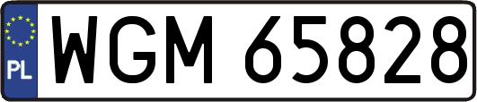 WGM65828