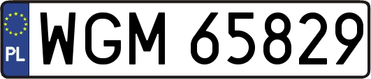 WGM65829