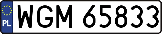 WGM65833