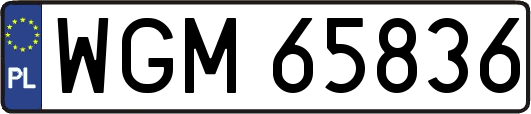 WGM65836