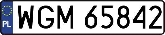 WGM65842