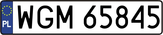 WGM65845