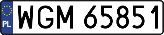 WGM65851