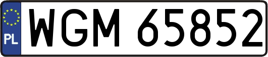 WGM65852