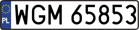 WGM65853