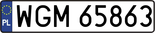 WGM65863