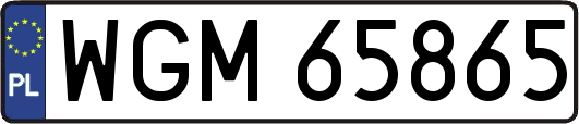 WGM65865