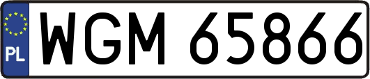 WGM65866