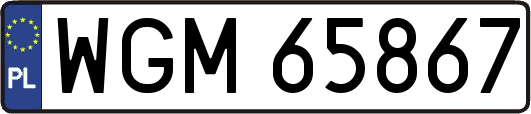 WGM65867