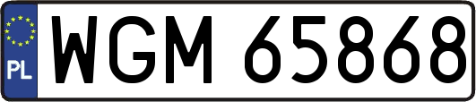 WGM65868
