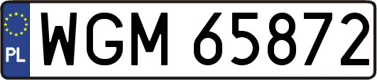 WGM65872