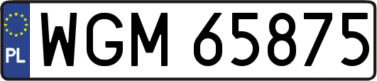 WGM65875