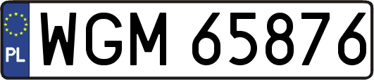WGM65876