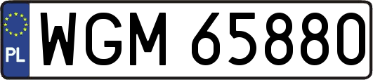 WGM65880
