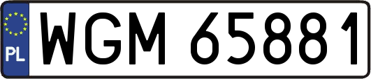 WGM65881