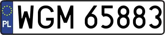 WGM65883