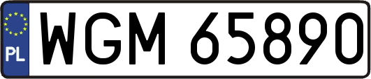 WGM65890