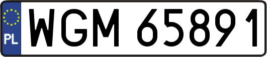 WGM65891