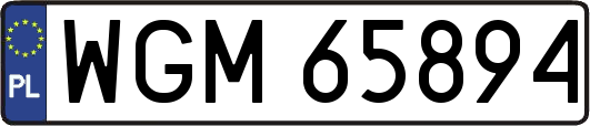 WGM65894