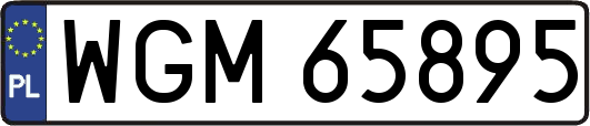 WGM65895
