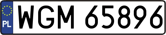 WGM65896