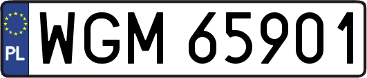 WGM65901