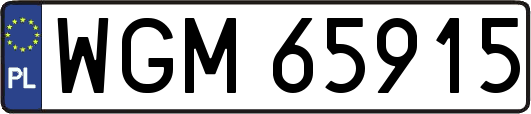 WGM65915