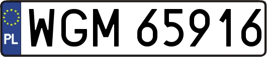 WGM65916