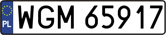 WGM65917