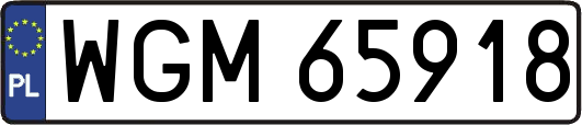 WGM65918