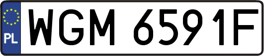 WGM6591F