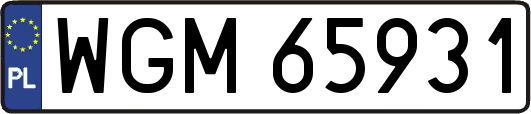 WGM65931
