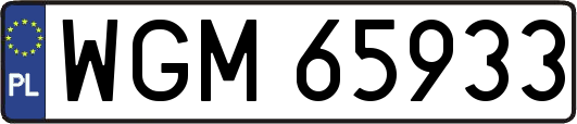 WGM65933