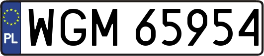 WGM65954