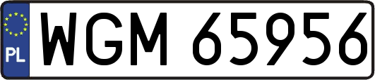 WGM65956