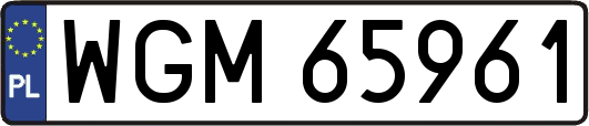 WGM65961