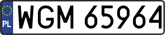 WGM65964