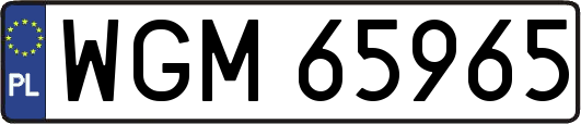WGM65965