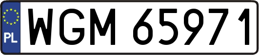 WGM65971
