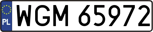 WGM65972