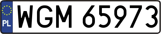 WGM65973