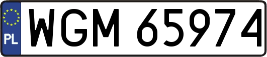 WGM65974
