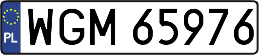 WGM65976