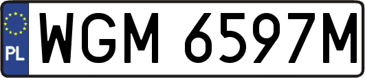 WGM6597M