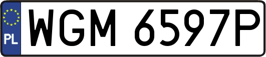 WGM6597P