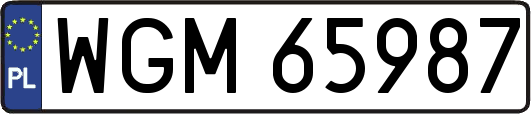 WGM65987