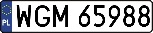 WGM65988