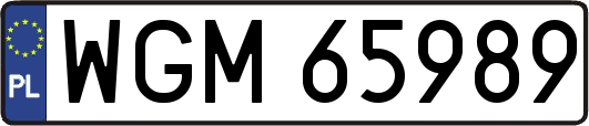 WGM65989