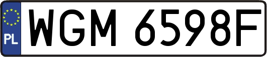 WGM6598F